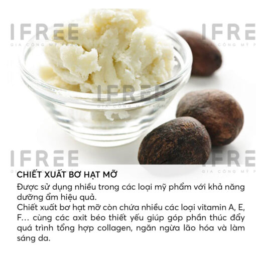 nguyên liệu mỹ phẩm chiết xuất bơ hạt mỡ