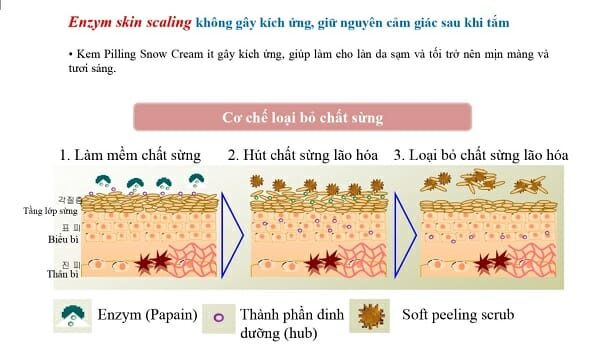tinh chất ceramide trong dưỡng da tinh chất ceramide trong dưỡng da